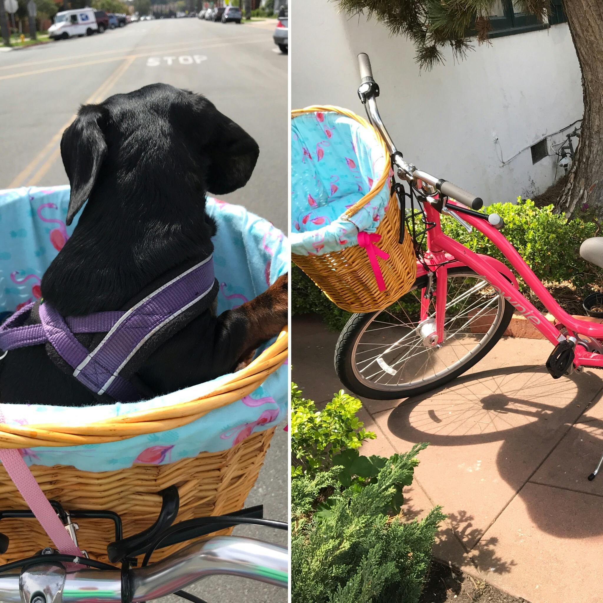 Monterey Front Mount Bike Basket Beach & Dog Co. Beach and Dog Co